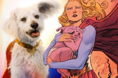 Supergirl: James Gunn on if Fans Should Be Scared of What Happens to Krypto