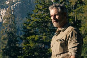 Has Untamed Season 2 Been Canceled or Renewed?