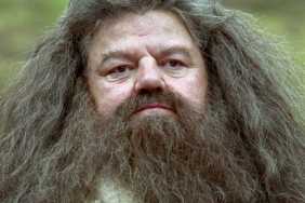 Harry Potter Fans Compare Nick Frost’s First Look To Original Hagrid
