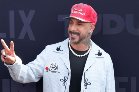 Who Is AJ McLean's Ex-Wife? Rochelle DeAnna's Job & Kids