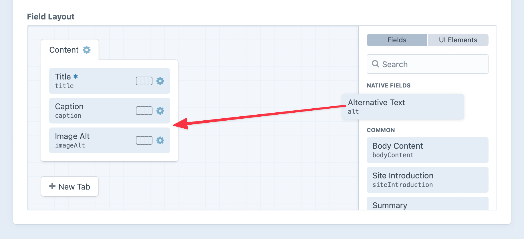 Native Alternative Text field in a Field Layout