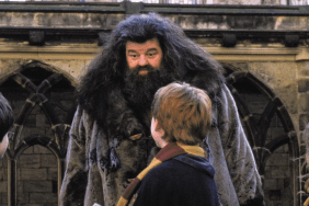 Harry Potter: First look at Nick Frost as Hagrid in HBO Show